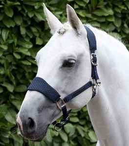 Cabestro Tradicional Inglés para Caballo, Calidad Premium para Salto al Aire Libre y Entrenamiento Diario - Product Image 1