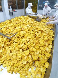 Jaca seca natural de Vietnam, ingrediente de calidad premium para mezclar postres y empaquetar regalos - Product Image 5