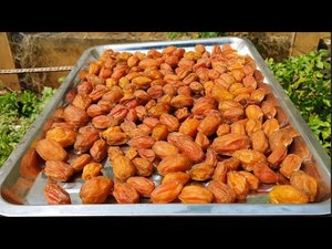 Ambarella jeune fraîche et naturelle séchée avec du sel et du piment en-cas parfait pour l'exportation - Product Image 2