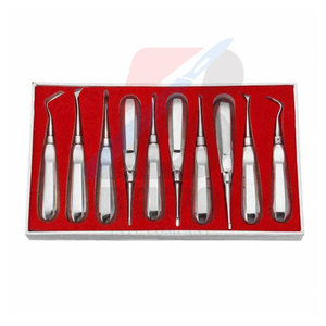 Juego de elevador de raíz Dental de alta calidad, 10 Uds., instrumentos de ortodoncia para extracción de dientes, herramientas quirúrgicas Bexpo - Product Image 1