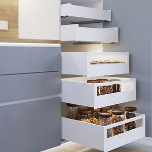 Cajón de acero Emuca Protone de 30kg para exterior con guías extensibles completas y cierre suave 131mm de altura 450mm de profundidad - Product Image 4