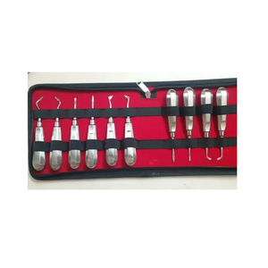 Juego de Elevadores de Raíces de 10 Piezas, Instrumentos Dentales Manuales de Acero Inoxidable, Fabricante - Product Image 5