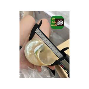 Stylish <b>Conch</b> Shell Napkin <b>Ring</b> Hand-Polished Seashell Holder Elegant Feng Shui Dining Table Sets Handicraft Souvenir Vietnam - Product Image 5