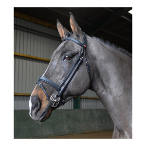 Ready to Ride Horse Leather Brida Nuevo diseño Snaffle Brida - Product Image 1