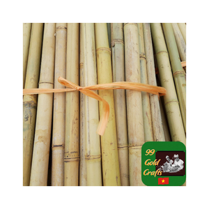 Poste de bambú de alta resistencia para uso a largo plazo en paisajismo y agricultura Poste de bambú Premium que ofrece una calidad excepcional - Product Image 6