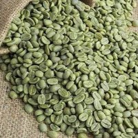 Grains de café vert Robusta biologique S18 de haute qualité, export direct de l'usine TNFOOD du Vietnam