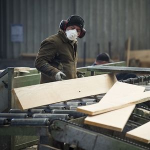 Bois de hêtre bordé et non tranchant de qualité supérieure en usine cuit à la vapeur ou KD - Product Image 3