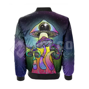 Men Slim Fit Hooded Stand Front Bomber Jackets Winter Custom OEM ODM Breathable Eco-Friendly Outdoor Jackets Reasonable Price - Product Image 2