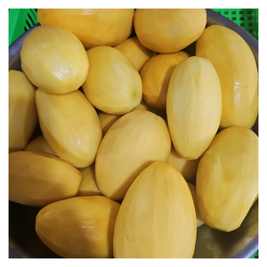 มะม่วงแช่แข็งแบบหวานฉ่ำแช่แข็งเกรดส่งออกเวียดนามเหมาะสำหรับสมูทตี้ขนมหวานเย็นและเครื่องดื่มเพื่อความสดชื่น - Product Image 5