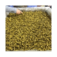 EN FORTE DEMANDE Relish marinée pure et sûre Parfait pour les hot-dogs et pour fournir un équilibre électrolytique lors des chaudes journées d'été
