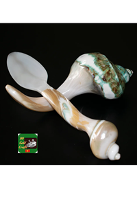 Soporte para palillos de nácar con datos dorados, vajilla decorativa hecha a mano, soporte para utensilios, venta al por mayor, comedor, exportación, Vietnam, 99 - Product Image 6