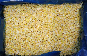 Toptan Tatlı Mısır Taneleri |   Fabrika Fiyatı, FOB/CIF Şartları Desteklenir - Product Image 5