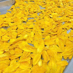 มะม่วงพระอาทิตย์ตกดินที่แปลกใหม่-ขนมผลไม้สีทองเขตร้อนระดับพรีเมี่ยมจากเกาะ - Product Image 5