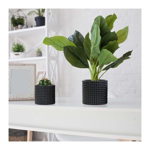 Maceta de corcho para escritorio, balcón y alféizar de ventana - Product Image 3