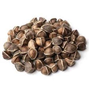 Graines de Moringa Bio Superfood pour la santé et la culture - Product Image 6