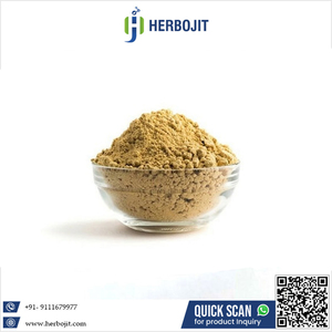 Fournisseur Direct d'Usine - Poudre de Gingembre Naturelle de Haute Qualité - Herbe Aromatique Fraîche Séchée - Qualité Supérieure Disponible - Meilleur Prix - Product Image 6