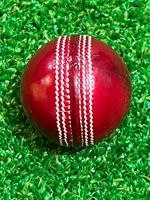 Pelota de Cricket YouthKing 43/4 OZS de Cuero Clásica para Entrenamiento, para Jóvenes de 8 a 12 Años, Costuras Tradicionales Duraderas