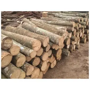 优质的相思木制相思圆木建筑用木质原木材料出厂价格
