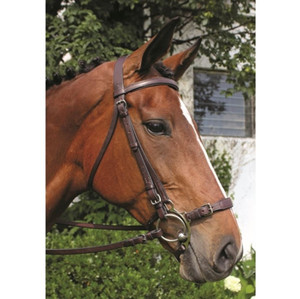 Noseband de palanca ajustable estacional Samosata Old Snake certificado ISO 9001 personalizable bajo petición envío al por mayor por encargo - Product Image 6