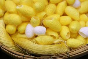 100% Natural Silk Cocoon Facial Exfoliators-Premium Grade for Cleansing, Smoothing Skin Texture, and <b>Enhancing</b> Radiance - Product Image 3