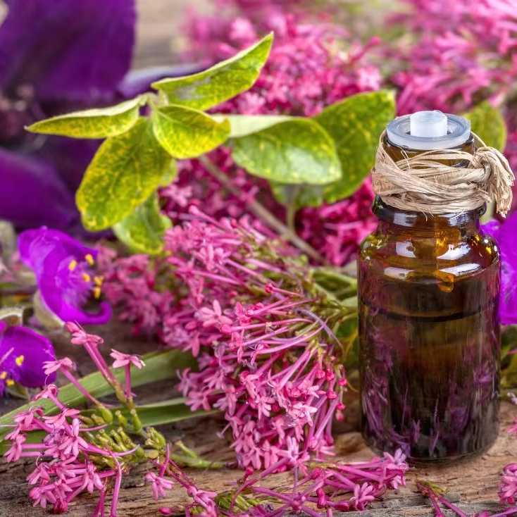 100% Pure Clary Sage Floral Oil Wholesale Supplier And Exporter From International In India Clary Sage Hydrosol At Lowest Prices