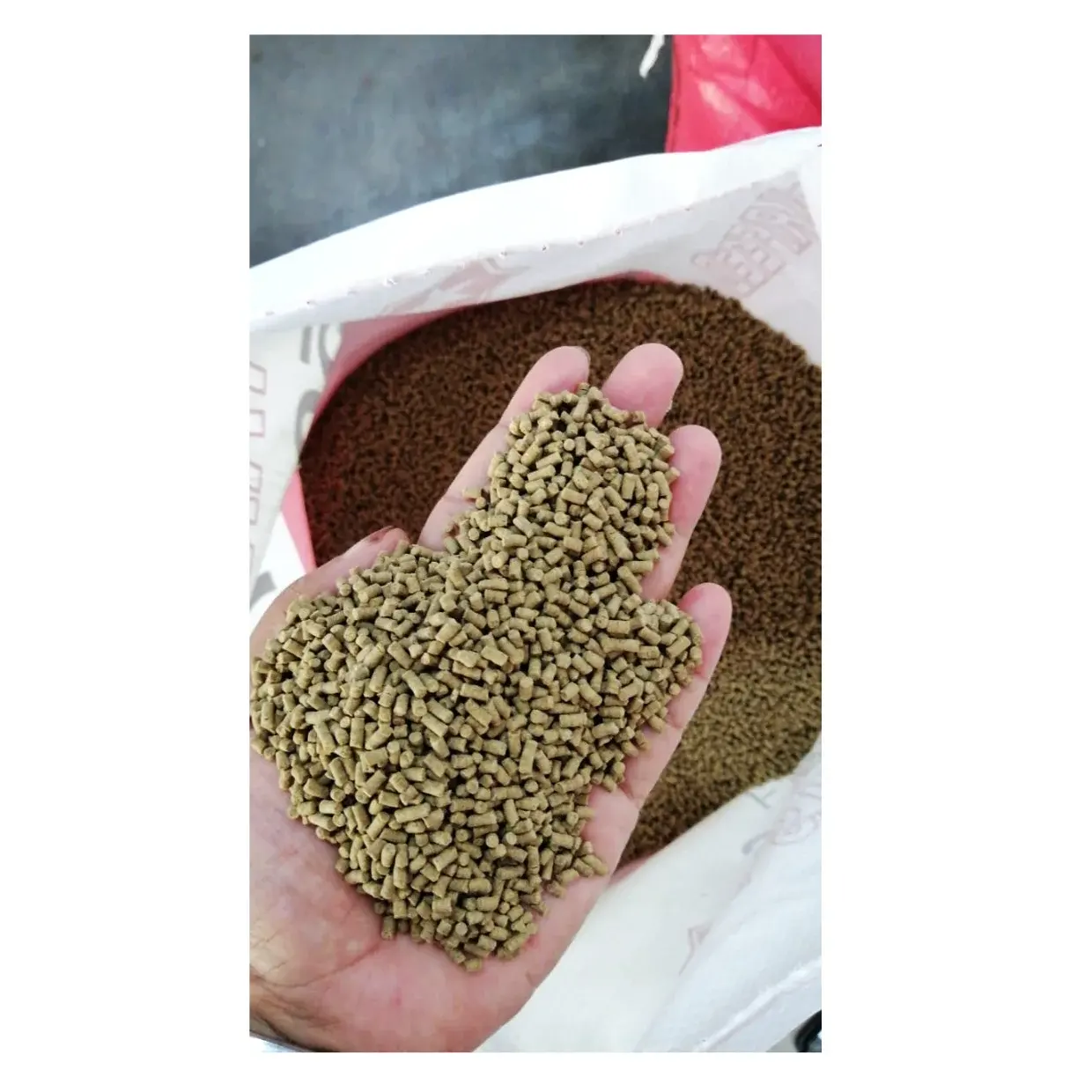 Black Tiger Crevettes Feed 5007 Farine de poisson pour la nourriture et les poissons Aliments aquatiques de haute qualité
