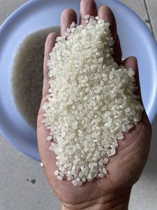 Arroz redondo japonés-Japonica- Sushi Rice Riz Crop 2025 de Vietnam Factory- WS: + 84-915355383 - Product Image 3