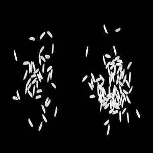 ข้าวบาสมาติคุณภาพพรีเมียม เมล็ดยาว คุณภาพพรีเมียม ขายส่งแบบยกกระสอบ ขนาด 5 กก. ถึง 50 กก. - Product Image 1