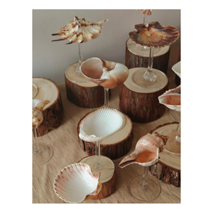 Verres en coquillage créés avec des coquillages nacrés et un corps en résine pour l'affichage de boissons luxueuses du Vietnam - Product Image 5