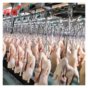 Equipo de Gran Capacidad para Matanza de Aves de Corral, Línea de Sacrificio de Pollos y Patos para Mataderos de Aves - Product Image 1