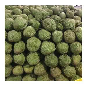 ขายใหญ่ 2024 ส่งออกทุเรียนแช่แข็งจากเวียดนาม คุณภาพสูงธรรมชาติ 100% - Product Image 4