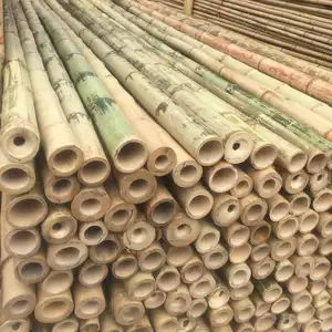 Fabricante de fábrica de bambu do vietnã, polas de bambu de 100% natural, pólo/vara/jogo ecológico usado na agricultura