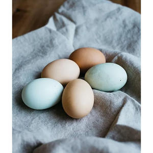 Huevos de mesa de granja fresca, huevos de pollo marrón y blanco orgánicos saludables, nutritivos a granel - Product Image 6