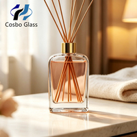 Flacon de parfum carré vide de 100 ml sans flamme, diffuseur transparent en verre avec bouchon à vis, diffuseur de roseaux d'intérieur