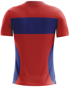Maillot de football personnalisable pour homme – Designs sur mesure, options de logo et de taille, impression client, tissu 100 % polyester respirant pour club - Product Image 2