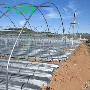 Feuille de film de paillis en plastique anti-UV robuste pour la plantation de poivrons, de <span class=keywords><strong>tomates</strong></span> et de fraises en serre - Product Image 6