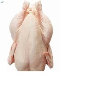 Prix d'usine ailes de poulet entières congelées poitrines pieds-pièces de poulet pattes de vente bon marché
