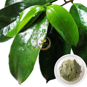 Takimex ผลิตภัณฑ์ทางการเกษตรสำหรับชาแห้งจากเวียดนาม - Product Image 1