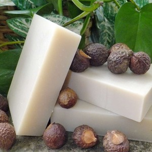 Organic Soap Nut Best Selling Soapnut Wholesale <b>Soapberry</b> Dried <b>Soapberries</b> Export From Vietnam - Product Image 4