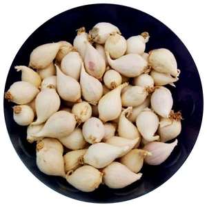 Ajo encurtido en miel en frasco, listo para comer, ajo dulce natural conservado con miel pura - Product Image 5