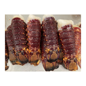 Carne de langosta congelada procesada y en forma de trozo entero, suministrada para redes internacionales de comercio de mariscos. - Product Image 6