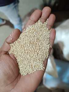 Graines de sésame blanc biologiques de qualité supérieure, tahini, mélanges d'épices pour boulangerie, huile comestible - Acheteurs OEM bienvenus, exportateur en gros - Product Image 2