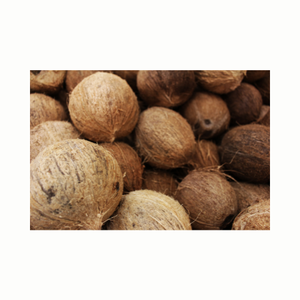 Cuenco de coco natural de Vietnam, mitades de cáscara de coco para comedero de mascotas y fabricante de velas, tendencia caliente 2024 - Product Image 6