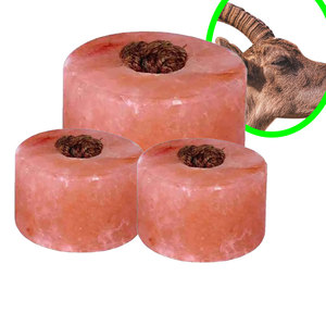 Sal para lamer al aire libre para la salud del ganado de caballos y ovejas | Soporte sólido de grado A1 - Product Image 4