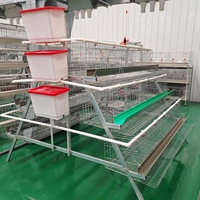 Nouveau système de cages automatiques robustes pour poulets, cages à batterie galvanisées pour poules pondeuses, pour élevages avicoles à grande échelle