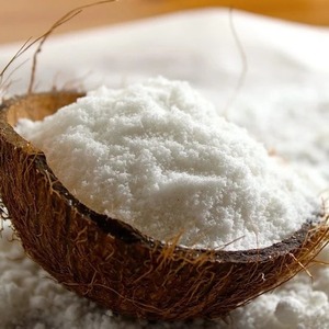 Poudre de lait de coco à saveur naturelle pour le prix de gros le moins cher poudre de coco à faible teneur en matières grasses - Product Image 1