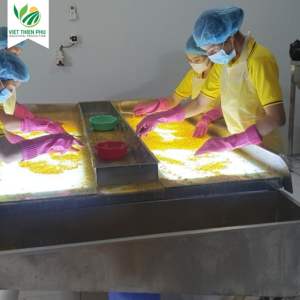 PURÉ DE FRAISES DE LA PÉROULE SAIN ET CONGELÉ AVEC DES GRAINES 100% NATUREL - Product Image 4