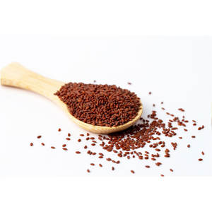 Berro | Hierba de nutrición botánica | Ideal para mezclas de alimentos - Product Image 2