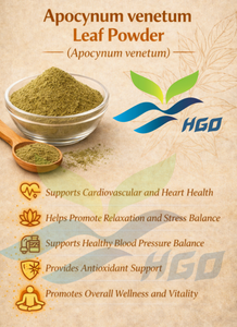 HGO Fournisseur direct d'usine de poudre de feuilles d'Apocynum venetum pure et naturelle, qualité alimentaire, spécification 10:1, extrait - Product Image 4