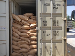 Vente en gros de poudre Tabu Joss poudre faisant de l'encens à des fins variées 36 tasses, meilleur fabricant vietnamien - Product Image 3